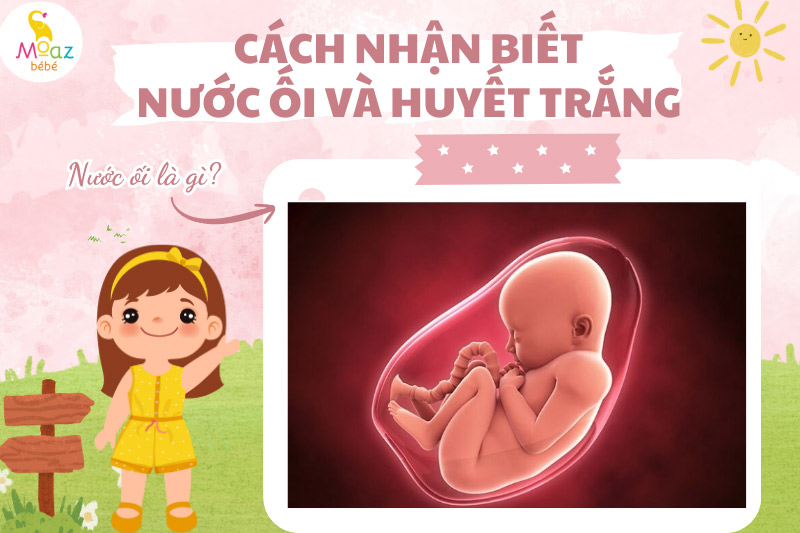 Nước ối là gì?