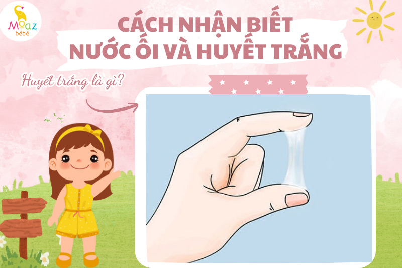 Huyết trắng là gì?