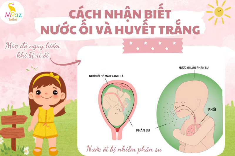 Mức độ nguy hiểm của rỉ ối