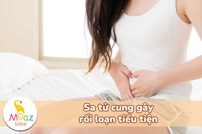 sa tử cung gây rối loạn tiểu tiện