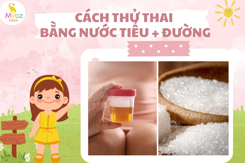 Hiểu hơn về phương pháp thử thai bằng nước tiểu và đường