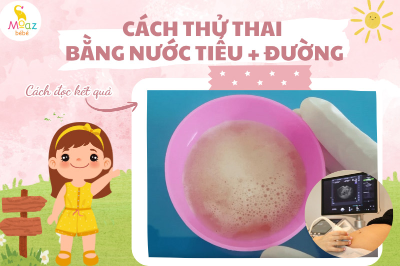 đọc kết quả thử thai bằng nước tiểu và đường