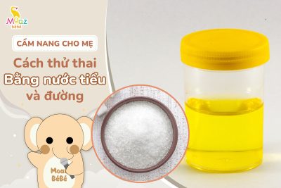 cách thử thai bằng nước tiểu và đường