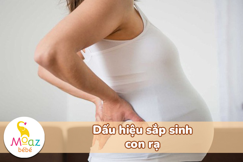 Những dấu hiệu sắp sinh con rạ