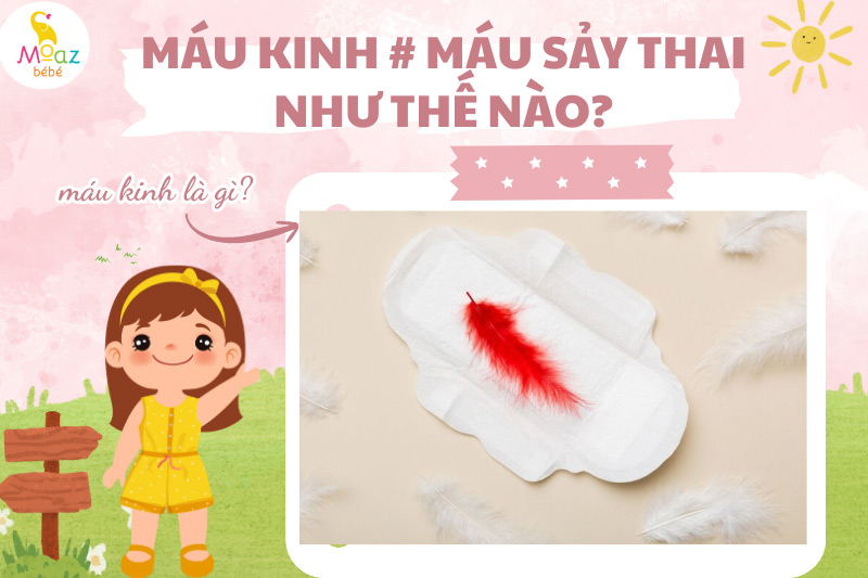 máu kinh là gì?