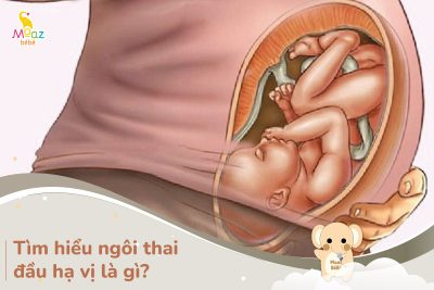 Ngôi thai đầu hạ vị là gì?