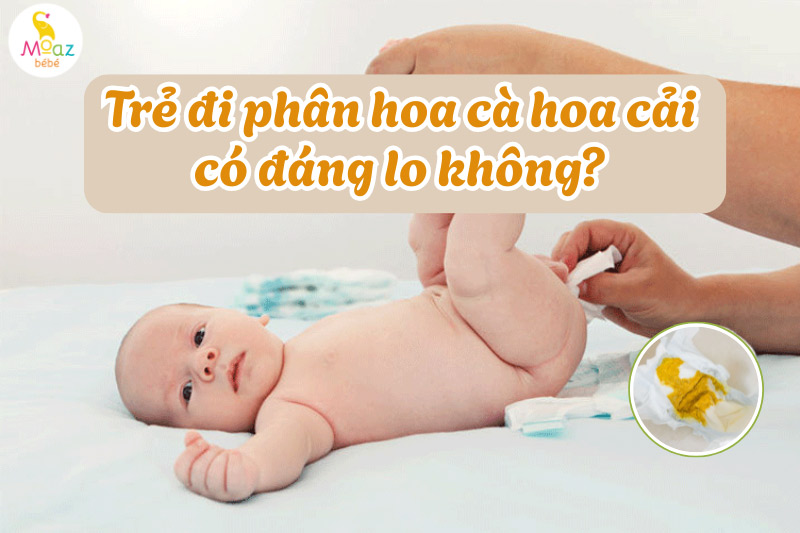 Trẻ đi phân hoa cà hoa cải có đáng lo ngại không?