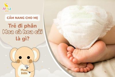 Phân hoa cà hoa cải là sao?