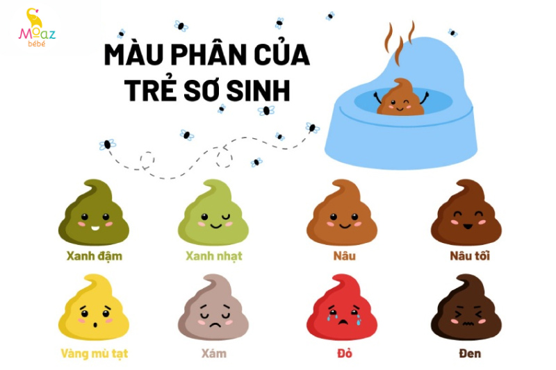 Phân của trẻ sơ sinh khi nào là bình thường?