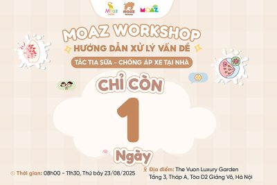 workshop moaz so 2 1