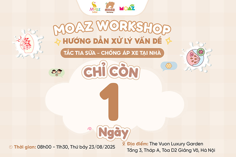 workshop moaz so 2 1
