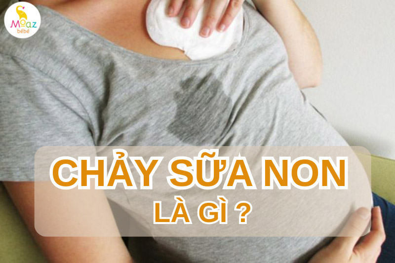 Chảy sữa non là gì