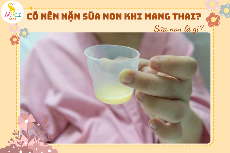 Sữa non là gì?