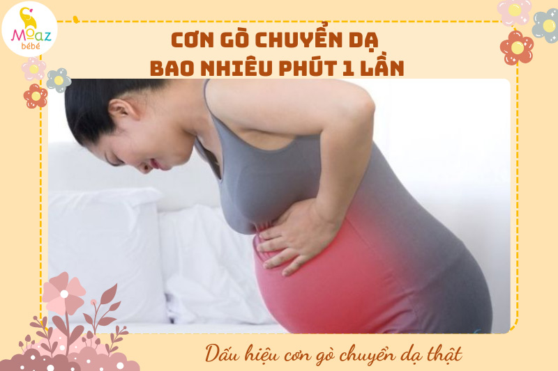 Phân biệt các cơn gò tử cung