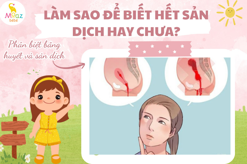 Phân biệt băng huyết sau sinh và sản dịch
