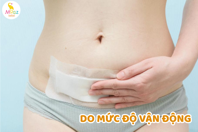 vet khau tang sinh mon bao lau thi lanh 3