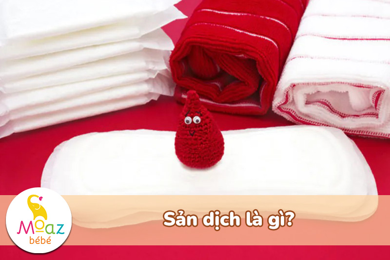 Sản dịch là gì?