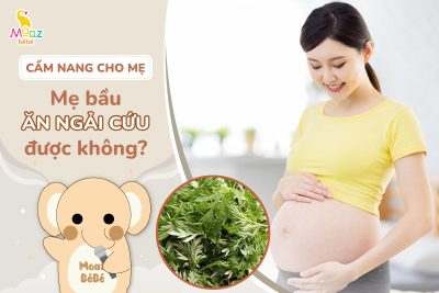 Bà bầu có ăn được ngải cứu không? Những điều mẹ bầu cần lưu ý 3 Mẹ bầu có ăn được ngải cứu không?Mẹ bầu có ăn được ngải cứu không?