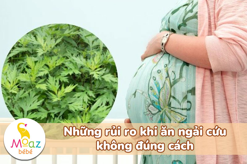 Rủi ro khi ăn ngải cứu không đúng cách