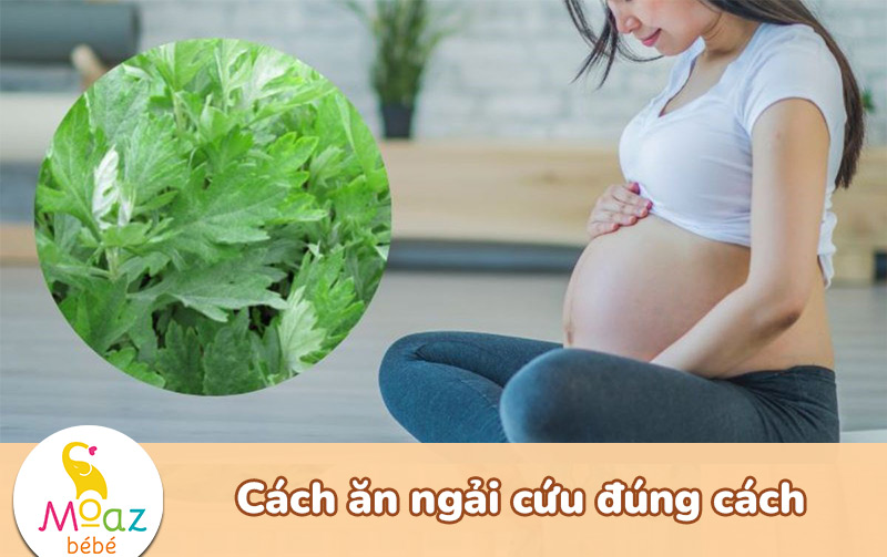 Mẹ bầu có thể ăn được bao nhiêu ngải cứu?