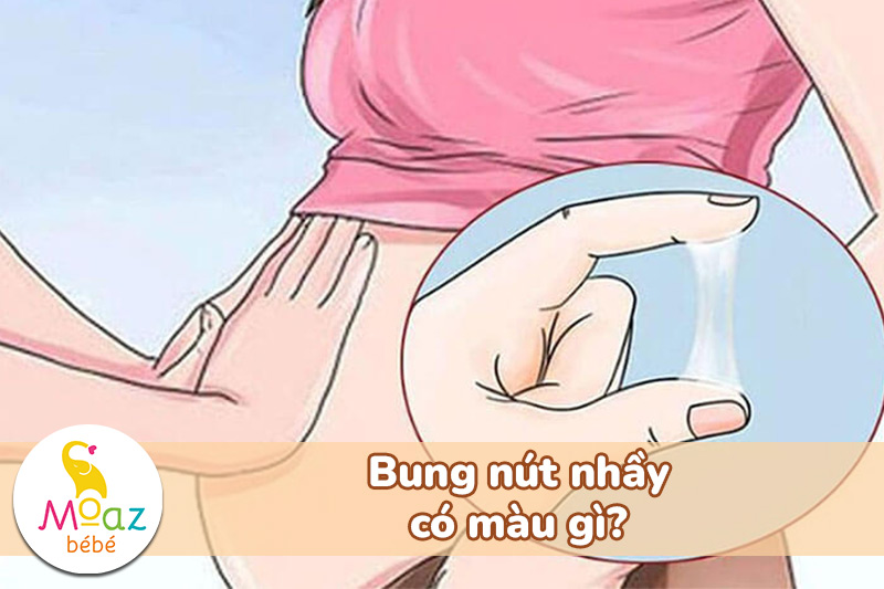 Bung nút nhầy có màu gì? 
