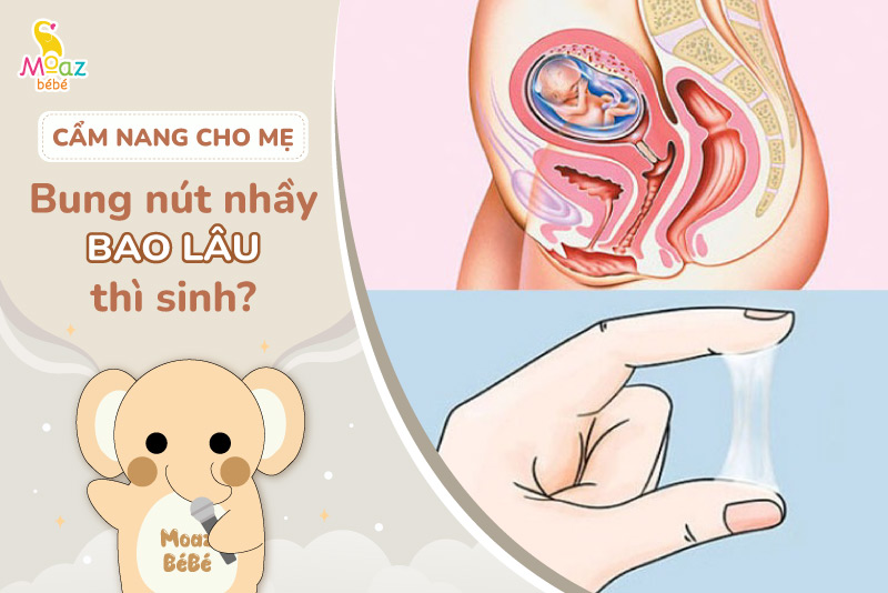 Bung nút nhầy bao lâu là sinh?