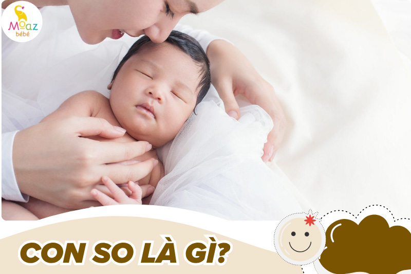 Con so là gì?