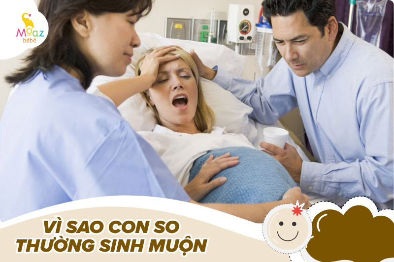 Vì sao con so thường sinh muộn hơn dự kiến?
