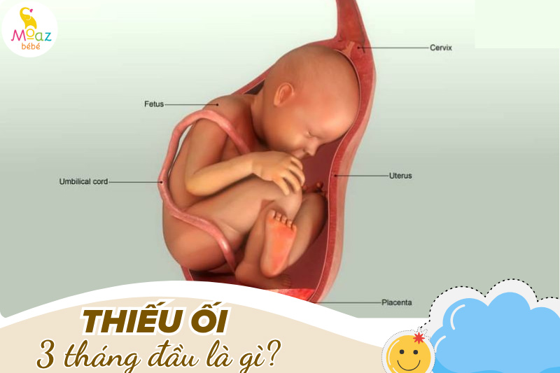 thiểu ối 3 tháng đầu là gì?