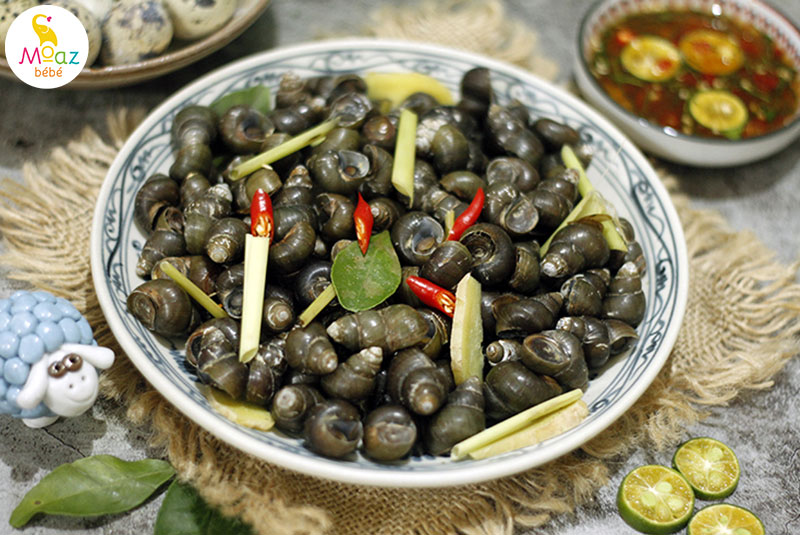 Mẹ bầu ăn ốc được không? Một số loại ốc mẹ bầu cần tránh 2 me bau an oc duoc khong 2