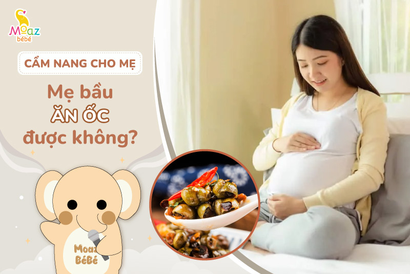 Mẹ bầu ăn ốc được không? Một số loại ốc mẹ bầu cần tránh 3 Mẹ bầu ăn ốc được không?