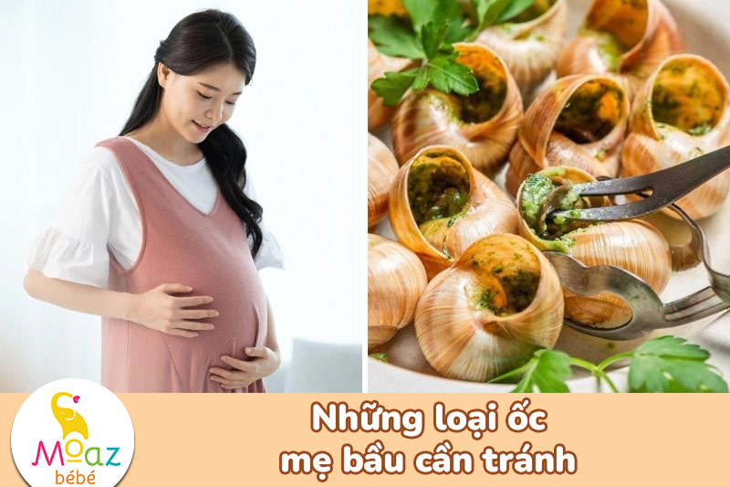 Mẹ bầu ăn ốc được không? Một số loại ốc mẹ bầu cần tránh 6 những loại ốc mẹ bầu cần tránh