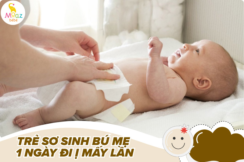 Trẻ sơ sinh bú mẹ 1 ngày đi ị mấy lần?