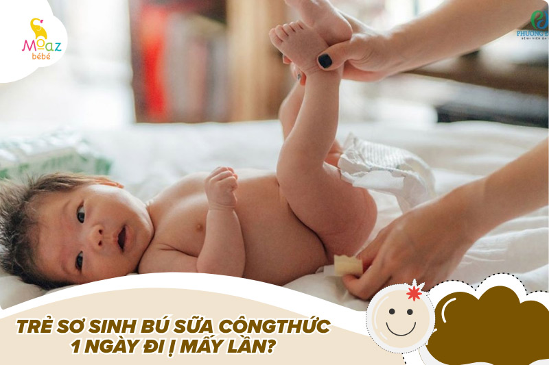 Trẻ sơ sinh bú sữa công thức 1 ngày đi ị mấy lần?