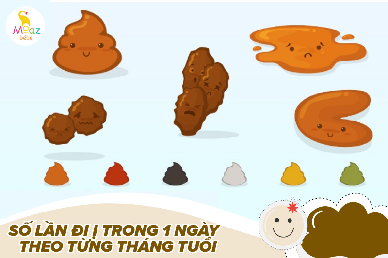Số lần đi ị trong 1 ngày của trẻ sơ sinh theo từng tháng tuổi