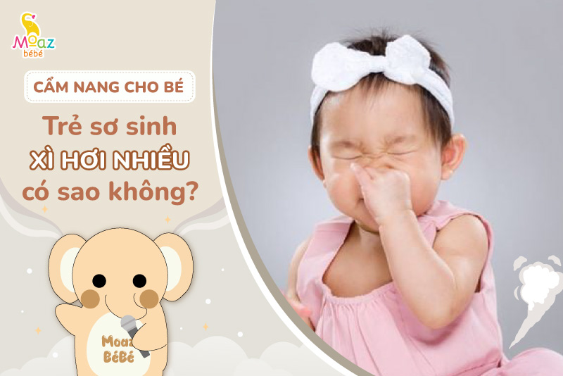 Trẻ sơ sinh xì hơi nhiều có sao không? Nhận biết dấu hiệu bình thường và bất thường 2 Trẻ sơ sinh xì hơi nhiều có sao không?
