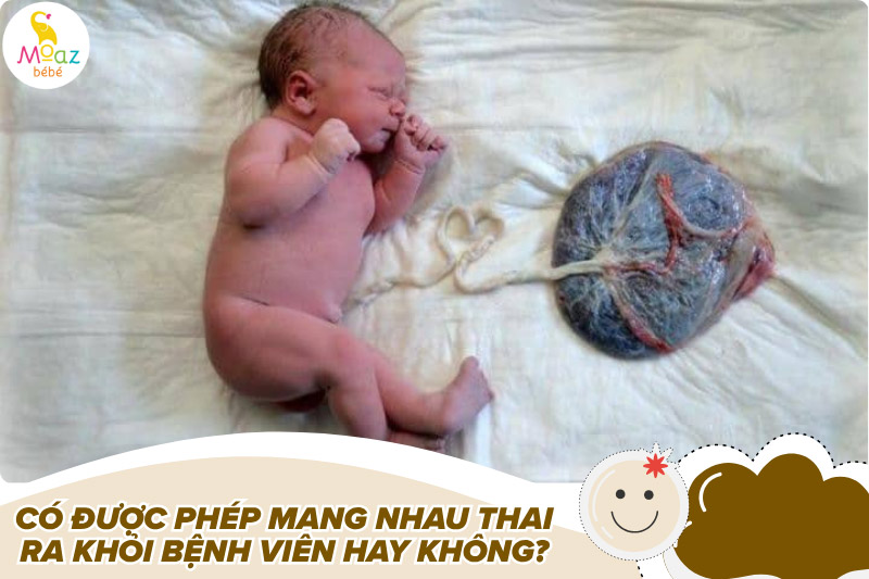 Có được phép mang nhau thai ra khỏi bệnh viện không?