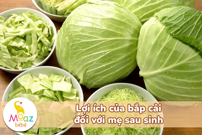 Mẹ sau sinh ăn bắp cải có mất sữa không? Những thực phẩm cần tránh 2 Lợi ích của bắp cải đối với mẹ sau sinh