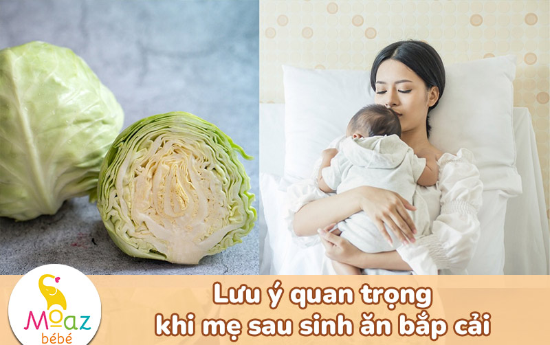 Mẹ sau sinh ăn bắp cải có mất sữa không? Những thực phẩm cần tránh 3 Lưu ý quan trọng khi mẹ sau sinh ăn bắp cải