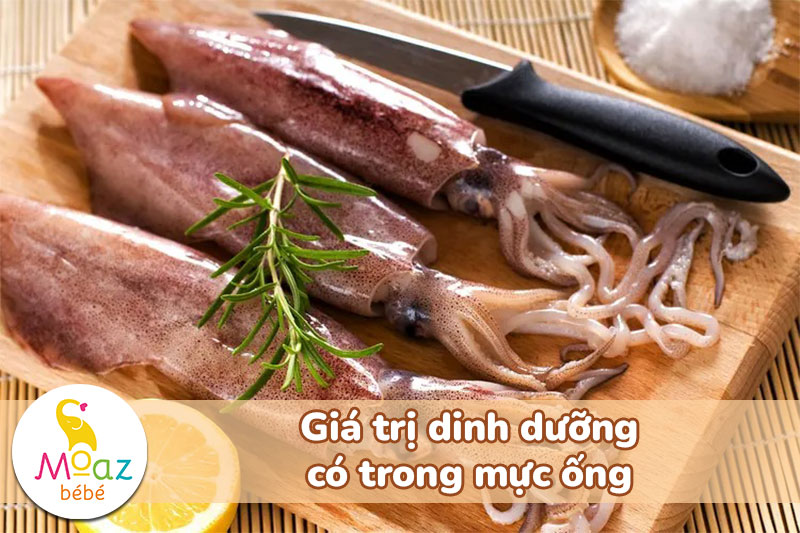 Có bầu ăn mực được không? Lưu ý quan trọng cho mẹ bầu 3 tháng đầu 2 Giá trị dinh dưỡng có trong mực ống