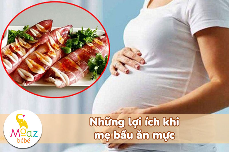 Có bầu ăn mực được không? Lưu ý quan trọng cho mẹ bầu 3 tháng đầu 3 Những lợi ích khi mẹ bầu ăn mực
