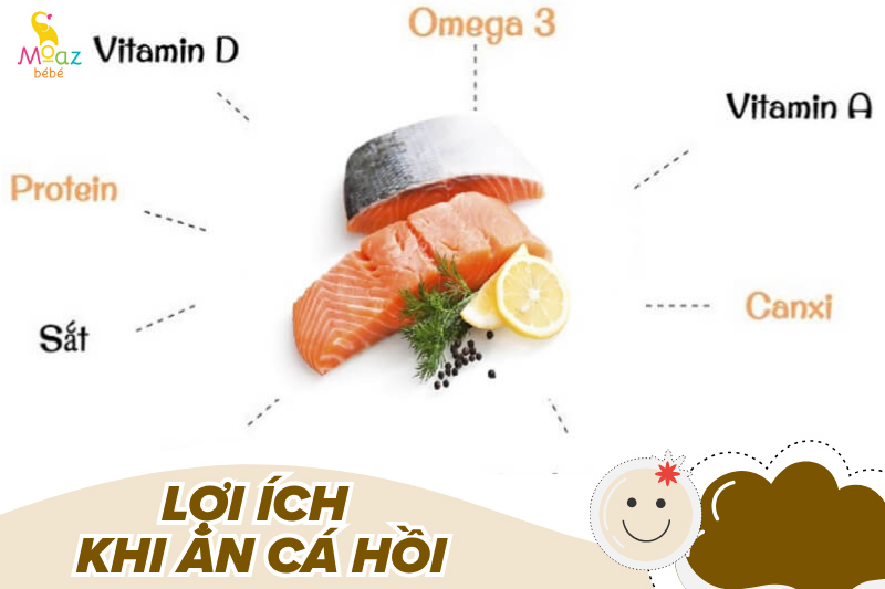 Bé mấy tháng ăn được cá hồi? Tác hại khi bé ăn cá hồi sớm 1 Lợi ích khi cho bé ăn cá hồi