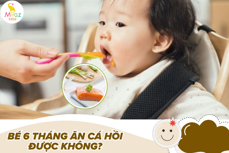 Bé mấy tháng ăn được cá hồi? Tác hại khi bé ăn cá hồi sớm 4 Bé 6 tháng ăn cá hồi được không?
