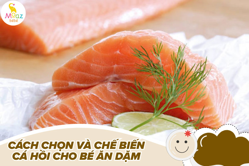 Bé mấy tháng ăn được cá hồi? Tác hại khi bé ăn cá hồi sớm 5 Cách chọn và chế biến cá hồi phù hợp cho bé ăn dặm