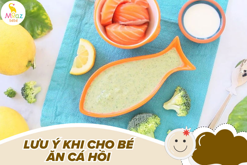 Bé mấy tháng ăn được cá hồi? Tác hại khi bé ăn cá hồi sớm 6 Những lưu ý quan trọng khi cho bé ăn cá hồi