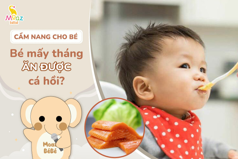 Bé mấy tháng ăn được cá hồi? Tác hại khi bé ăn cá hồi sớm 2 Bé mấy tháng ăn được cá hồi?