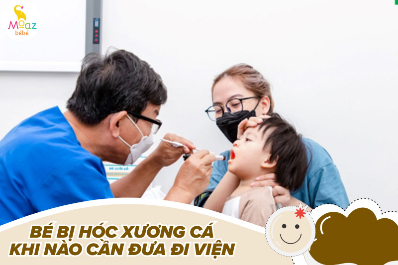 bi hoc xuong ca phai lam sao 5