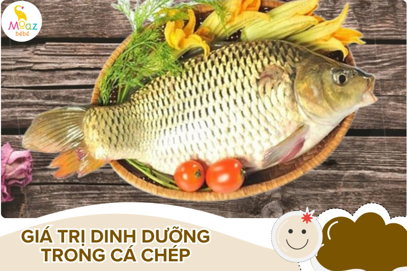 Giá trị dinh dưỡng trong cá chép