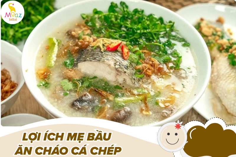 Lợi ích khi mẹ bầu ăn cháo cá chép