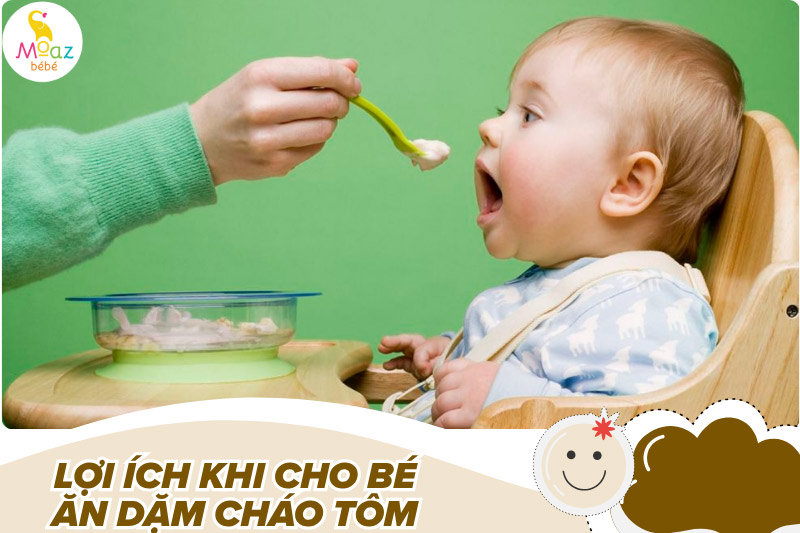 Cách nấu cháo tôm cho bé ăn dặm vừa ngon vừa bổ 1 Lợi ích khi cho bé ăn dặm cháo tôm